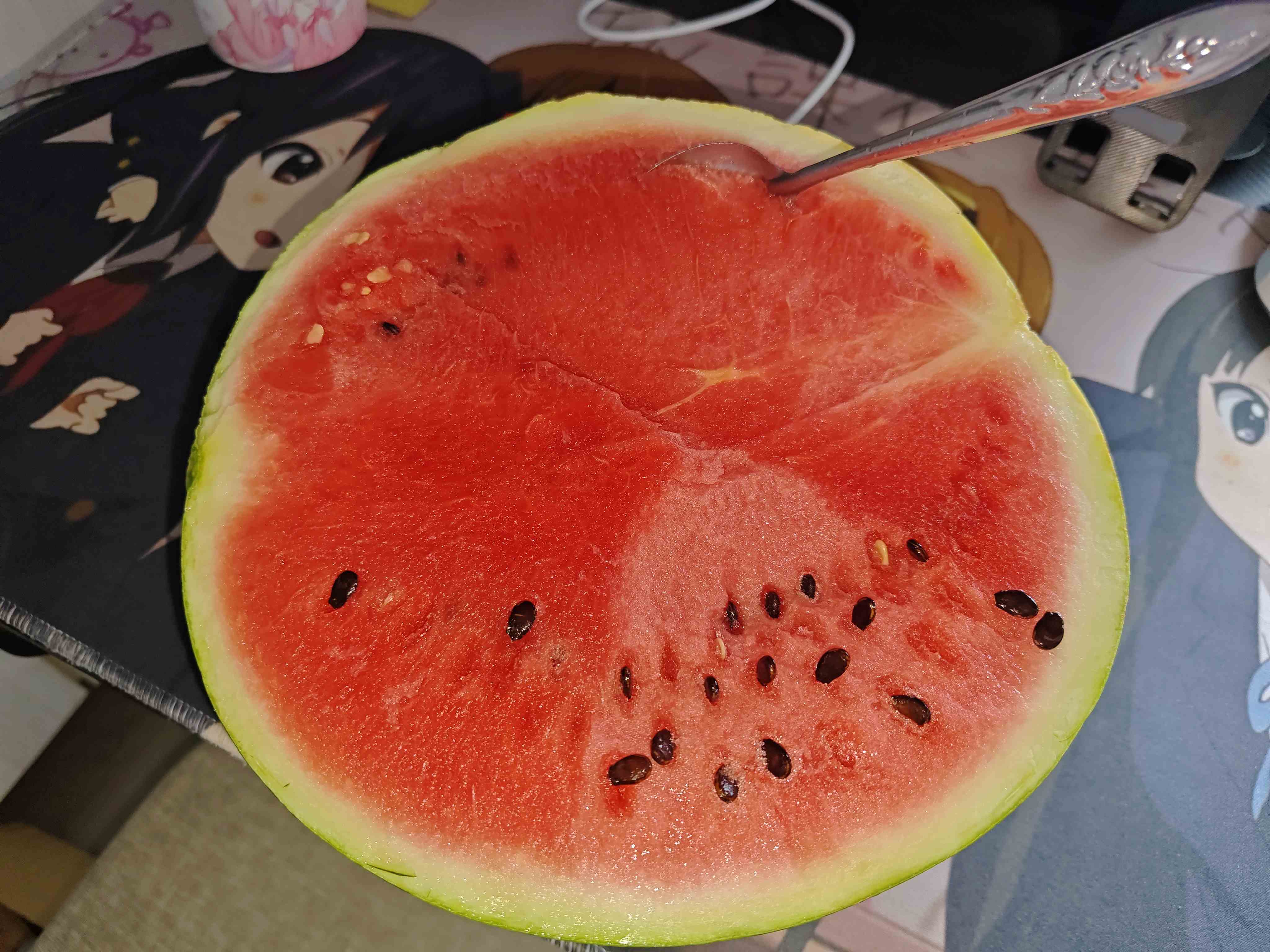 IMG_20260705_120424.jpg