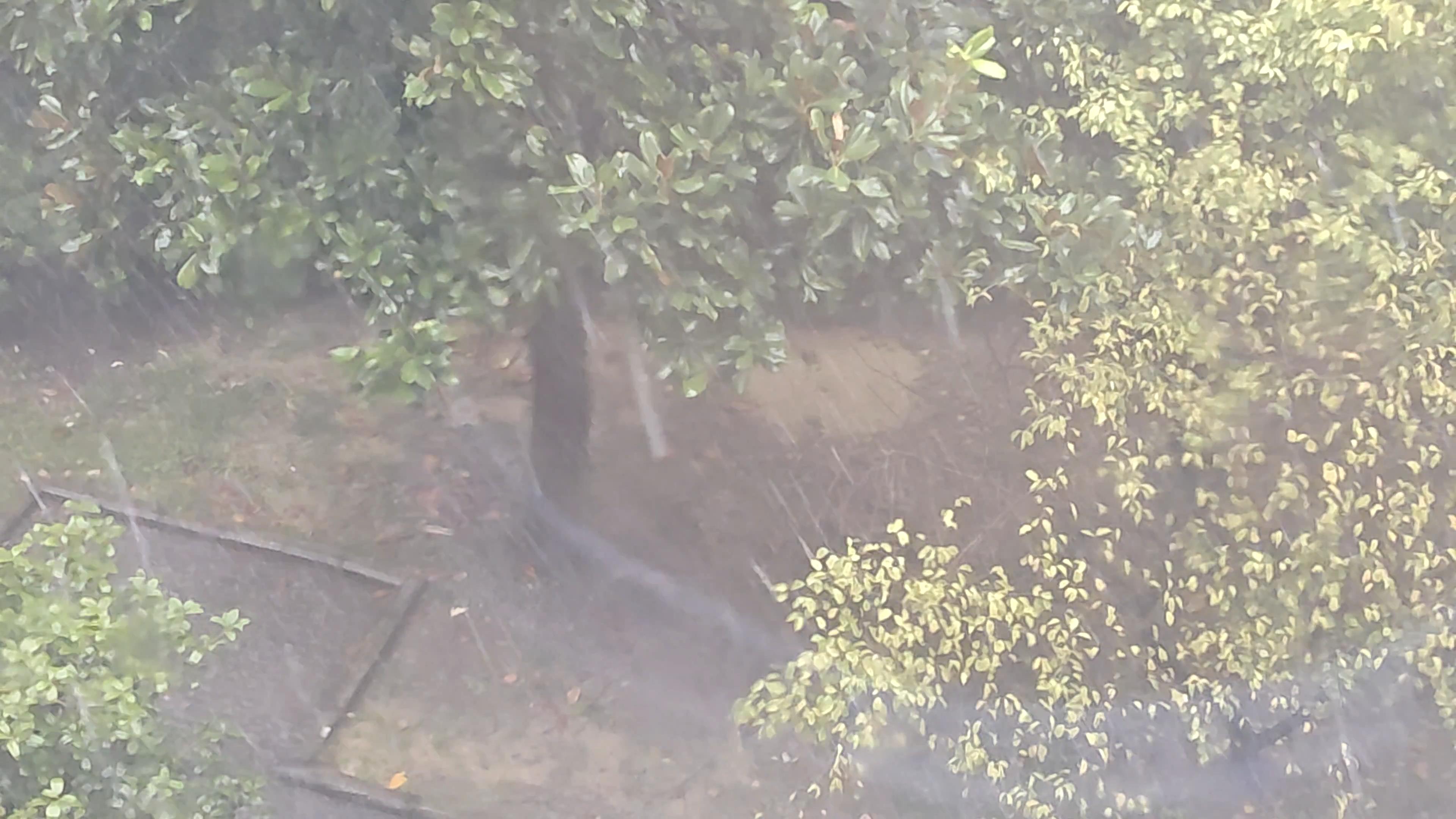 Videoshot_20250914_161008.jpg